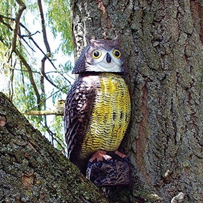 Buho Eolico Espantapajaros